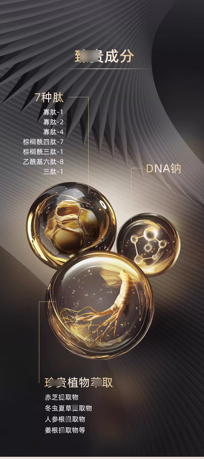 【官方正品】Whoo后秘贴_06.jpg