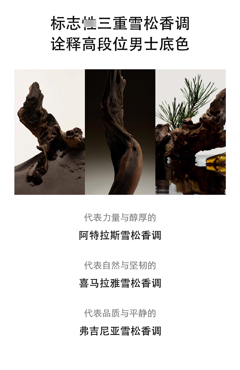 BURBERRY博柏利_03.jpg