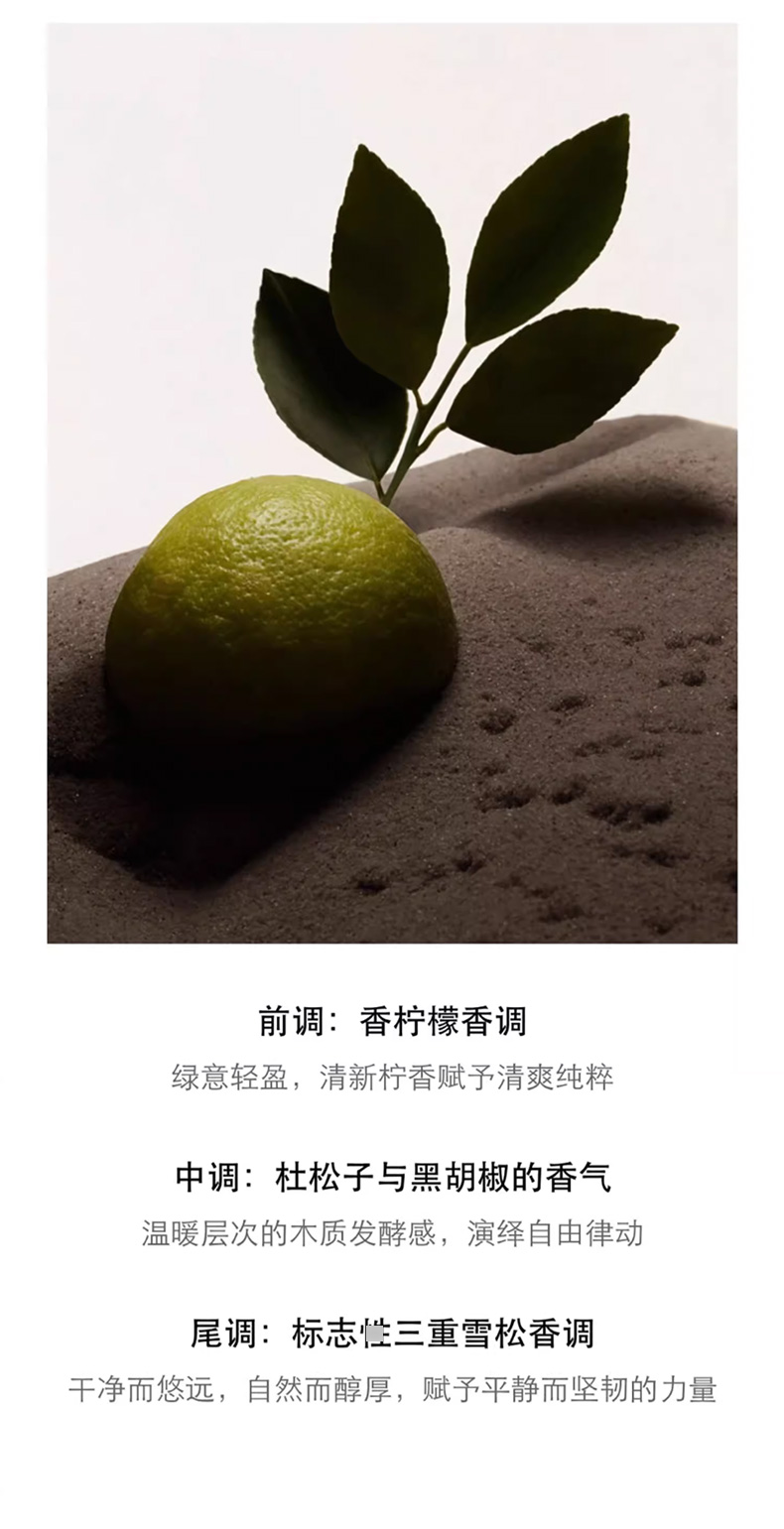 BURBERRY博柏利_06.jpg