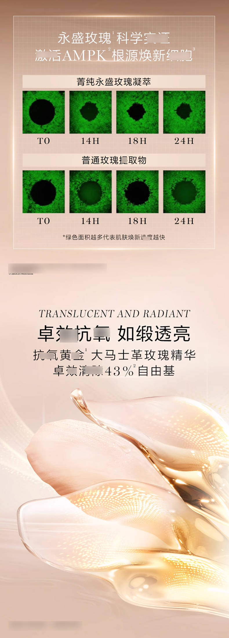兰蔻菁纯精华水_04.jpg