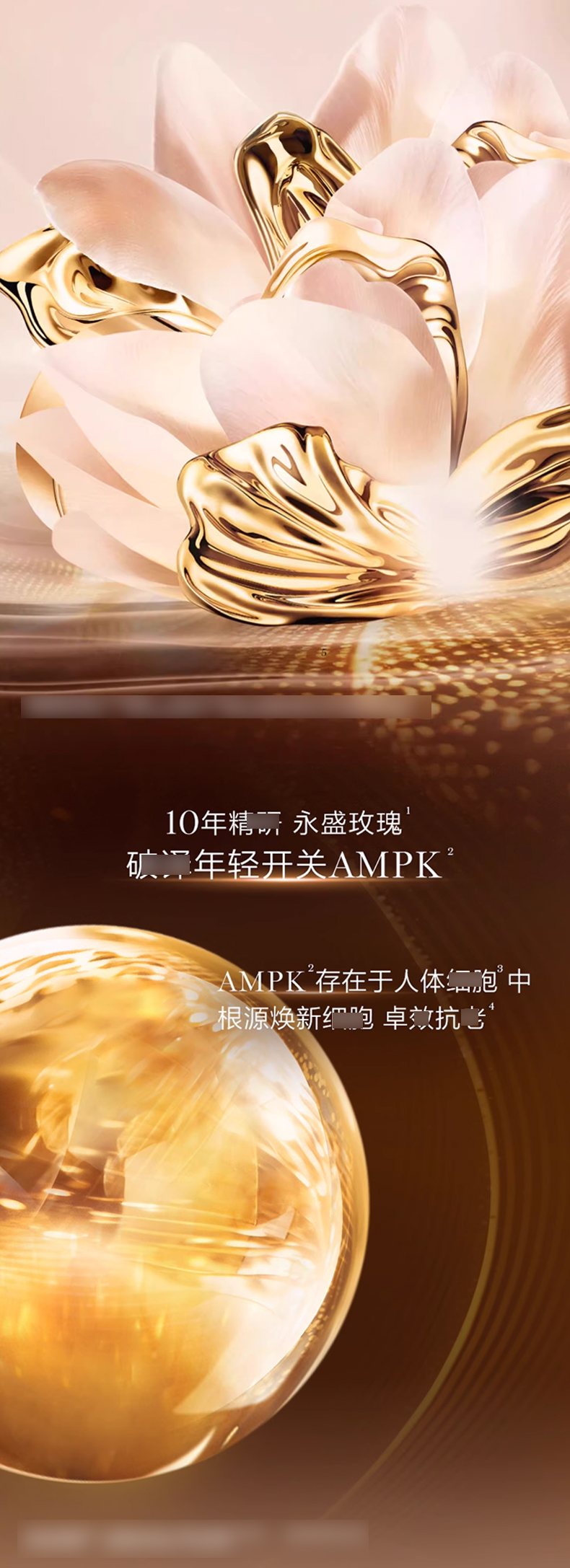 兰蔻菁纯精华水_03.jpg
